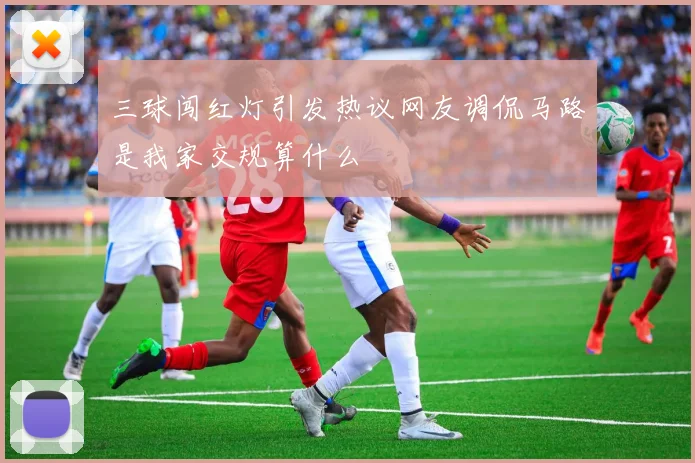 三球闯红灯引发热议网友调侃马路是我家交规算什么