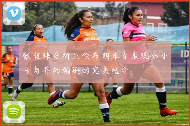 张佳玮分析杰伦布朗本季表现如小卡与乔约翰逊的完美结合