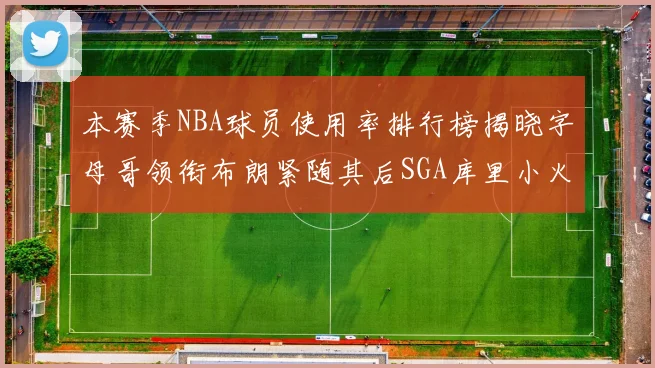 本赛季NBA球员使用率排行榜揭晓字母哥领衔布朗紧随其后SGA库里小火车紧追不舍
