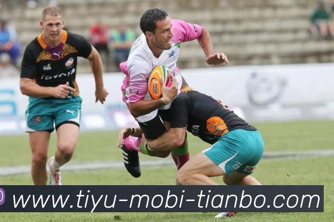 天博体育APP 体育赛事宣传图